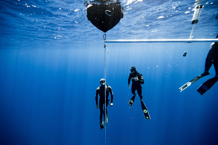 Professional freediving instructor courses