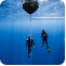 Professional freediving course options