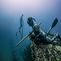 Specialty freediving course options