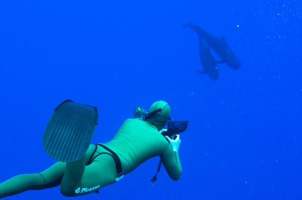Breath-Hold Diving Embracing Safety for a Safe and Fulfilling Experience